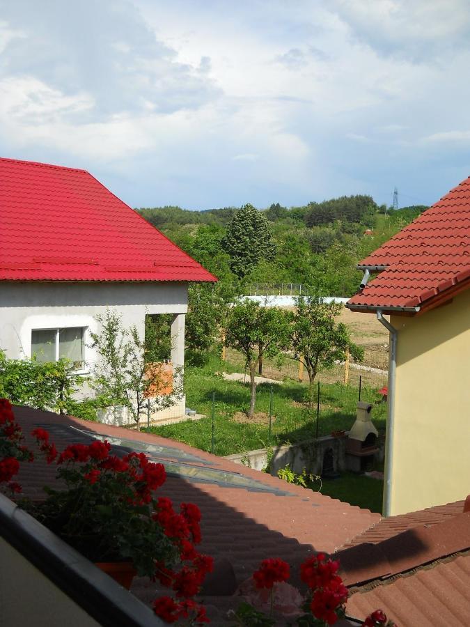 Hotel Casa Domneasca Curtea de Argeş Zimmer foto